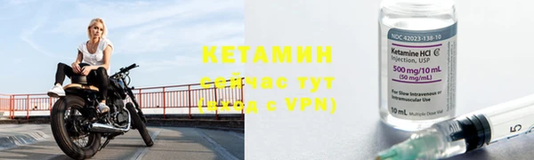 СК Дмитров
