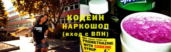 2c-b Ельня