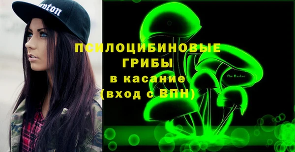 apvp Елабуга