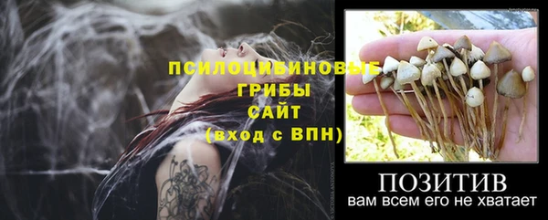 СК Дмитров